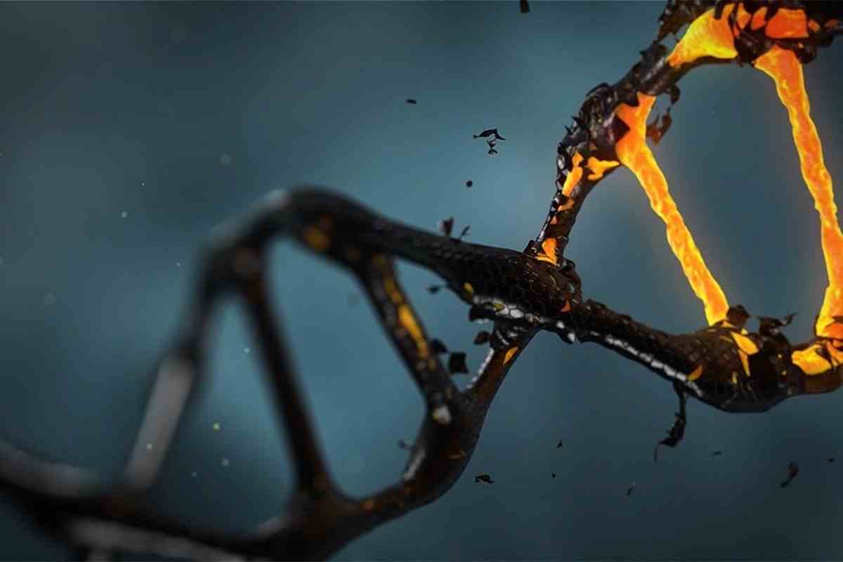 DNA, Biology, Science